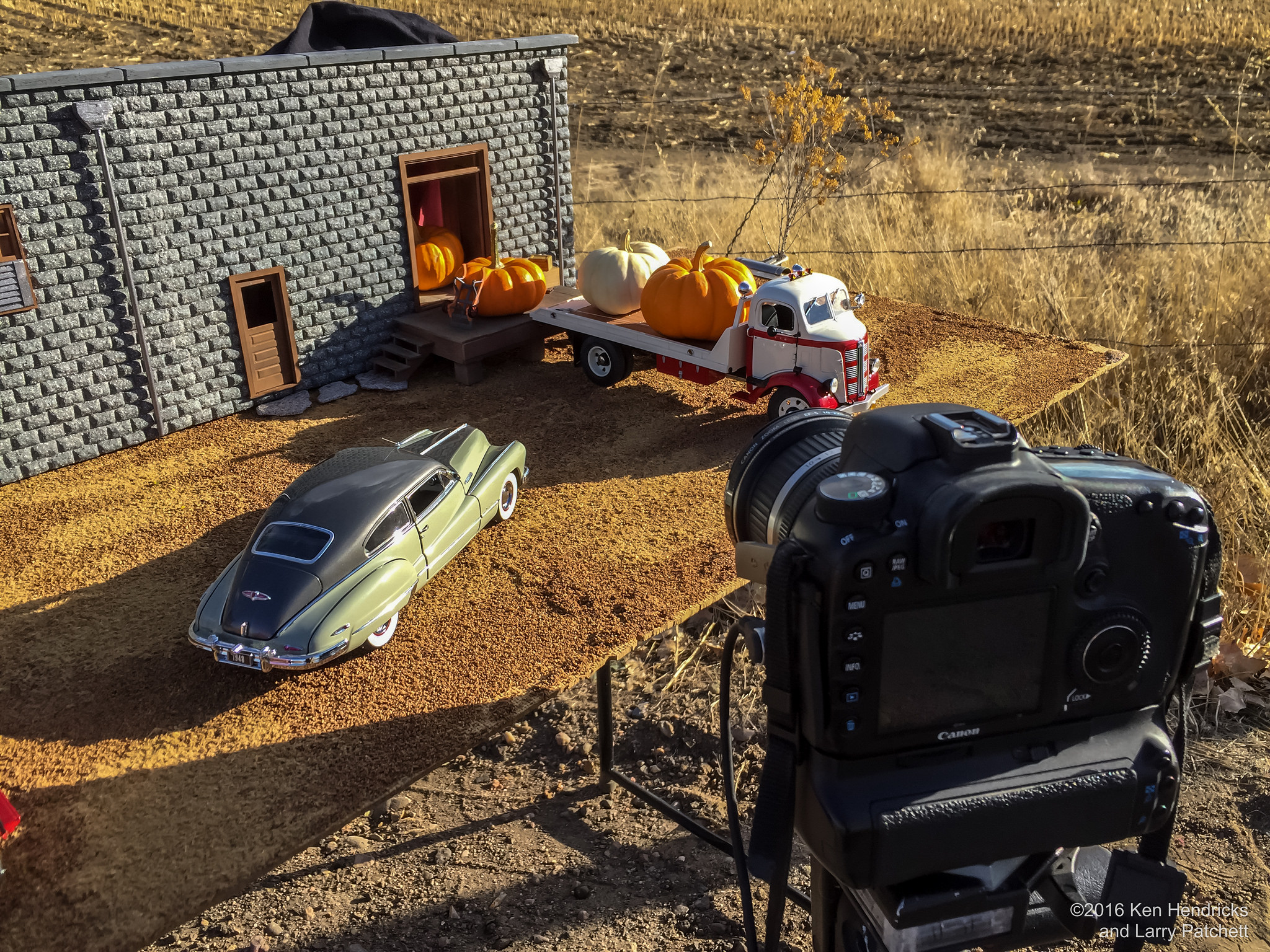 Giant Pumpkin Harvest BTS